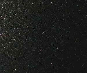 Black Starlight